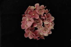 Big-Pink-Clove-Flower-Accessory