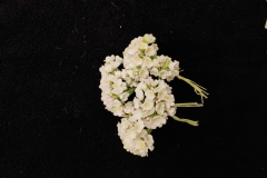 Flower-Accessories-Zorains-Studio-Store-11