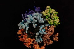 Flower-Accessories-Zorains-Studio-Store-4