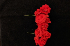 Red-Button-Roses