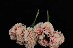 White-Peach-Small-Flowers