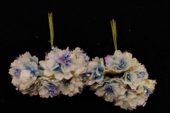 White-Rainbow-Small-Flowers