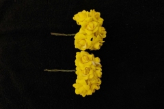 Yellow-Button-Roses