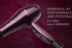 Burgundy_Web-Banner-2